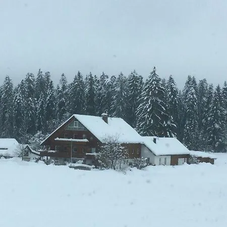 Apartman Amazing In Bavaria Weiler-Simmerberg