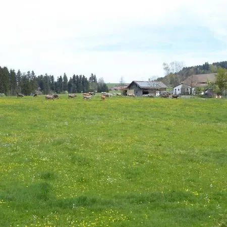 Amazing In Bavaria Apartman